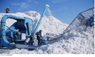 Cotton Planting Investment Projec in Uzbekistan 