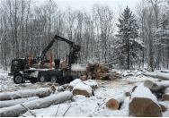 Russian Wood Processing Park