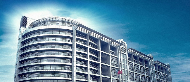 IT企业国内分销项目